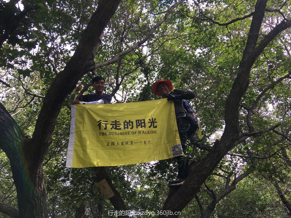 mmexport1536504003772