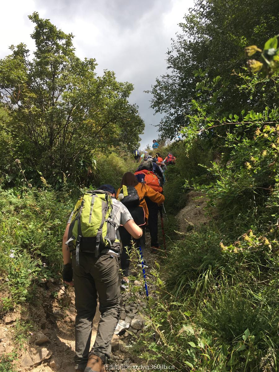 mmexport1536460876446