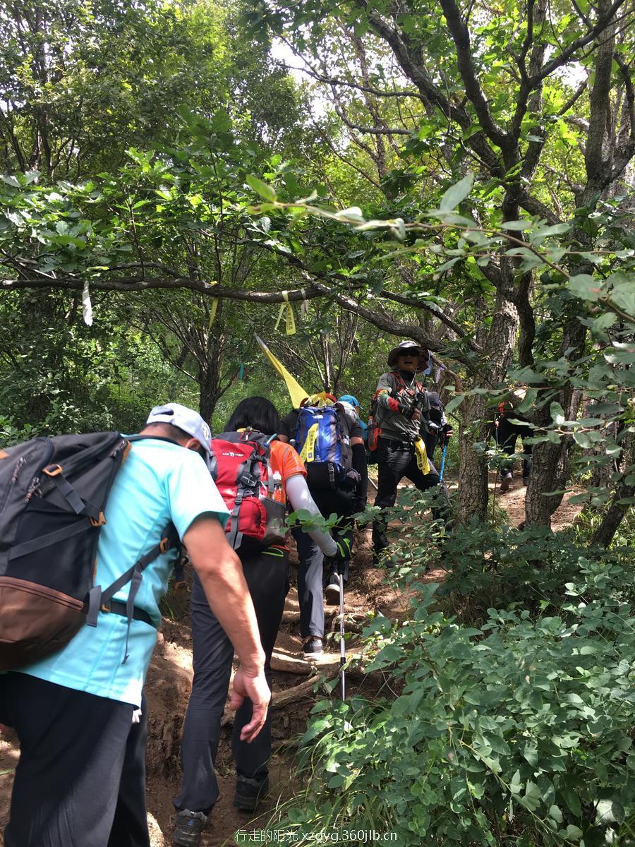 mmexport1536498768144