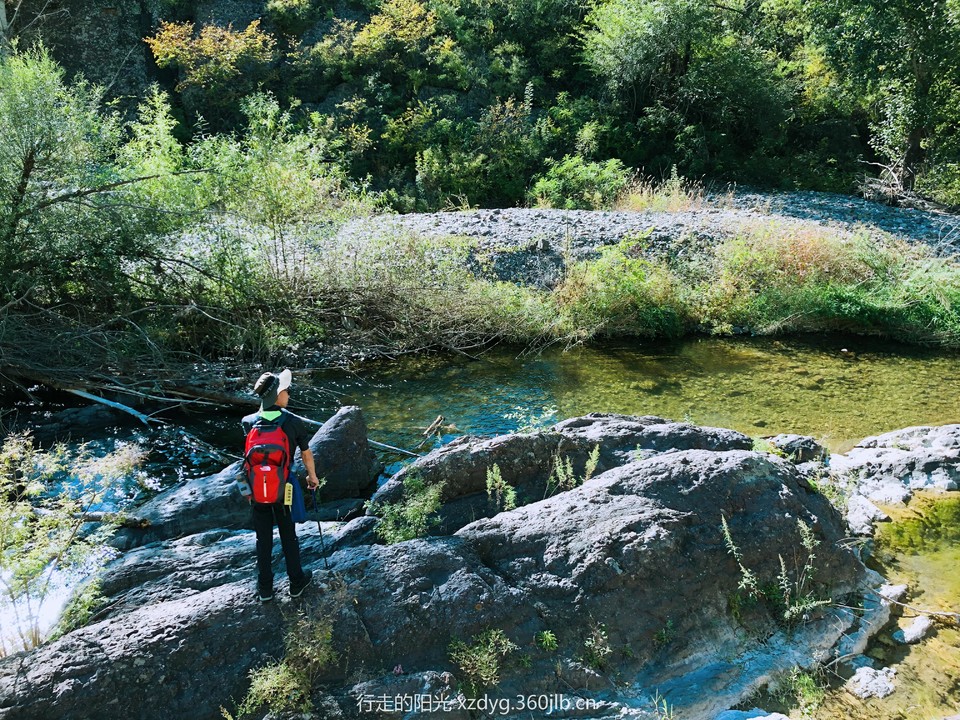 mmexport1537066011026