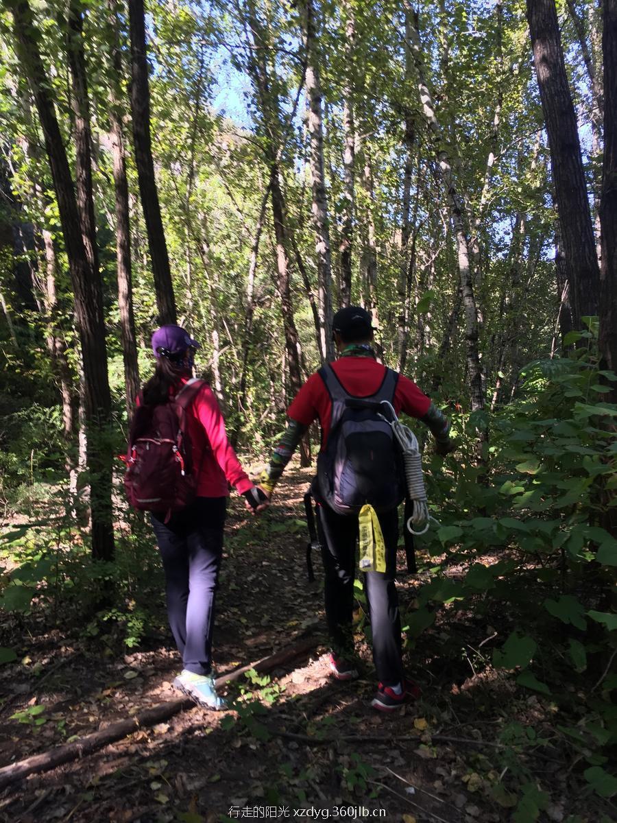 mmexport1537064870498