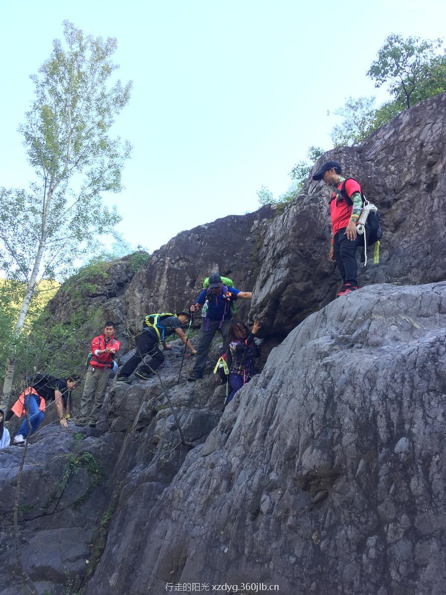 mmexport1537065068860