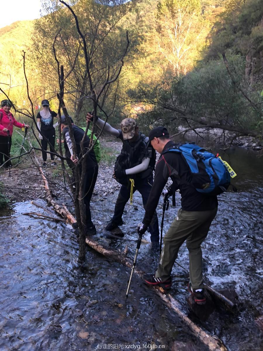 mmexport1537063059135