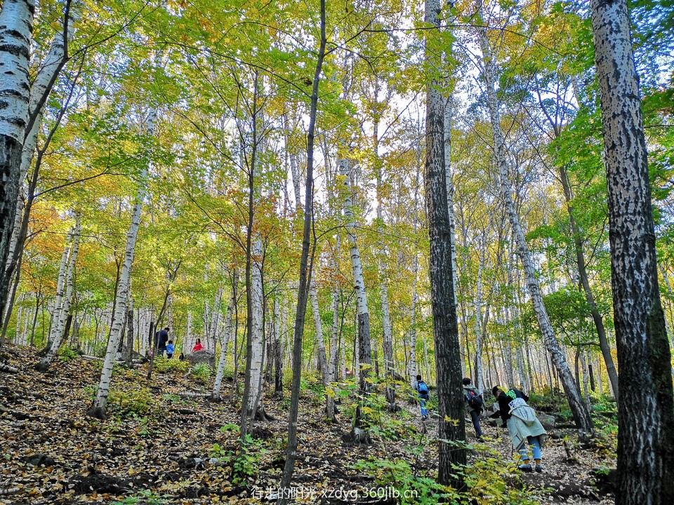 mmexport1538536725576