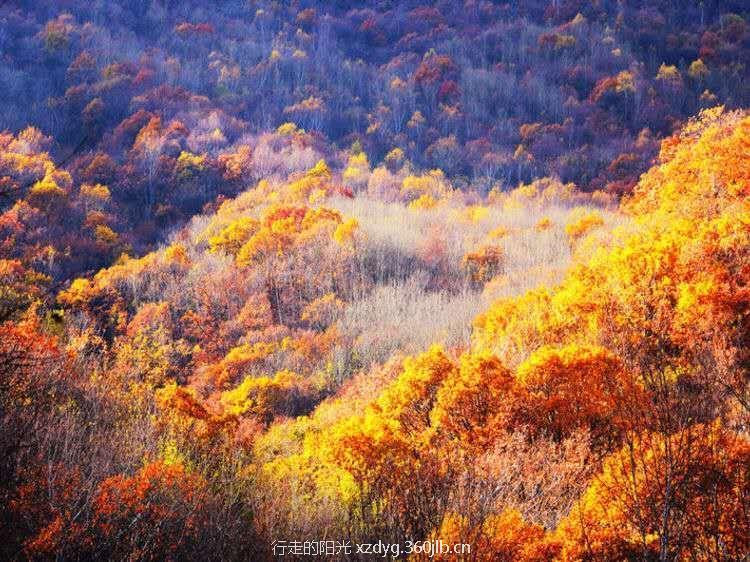 mmexport1537840412979