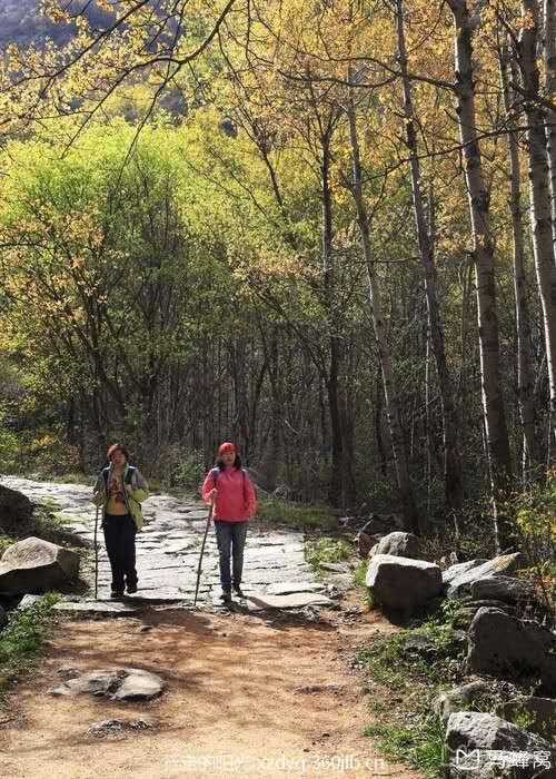 mmexport1537840418801