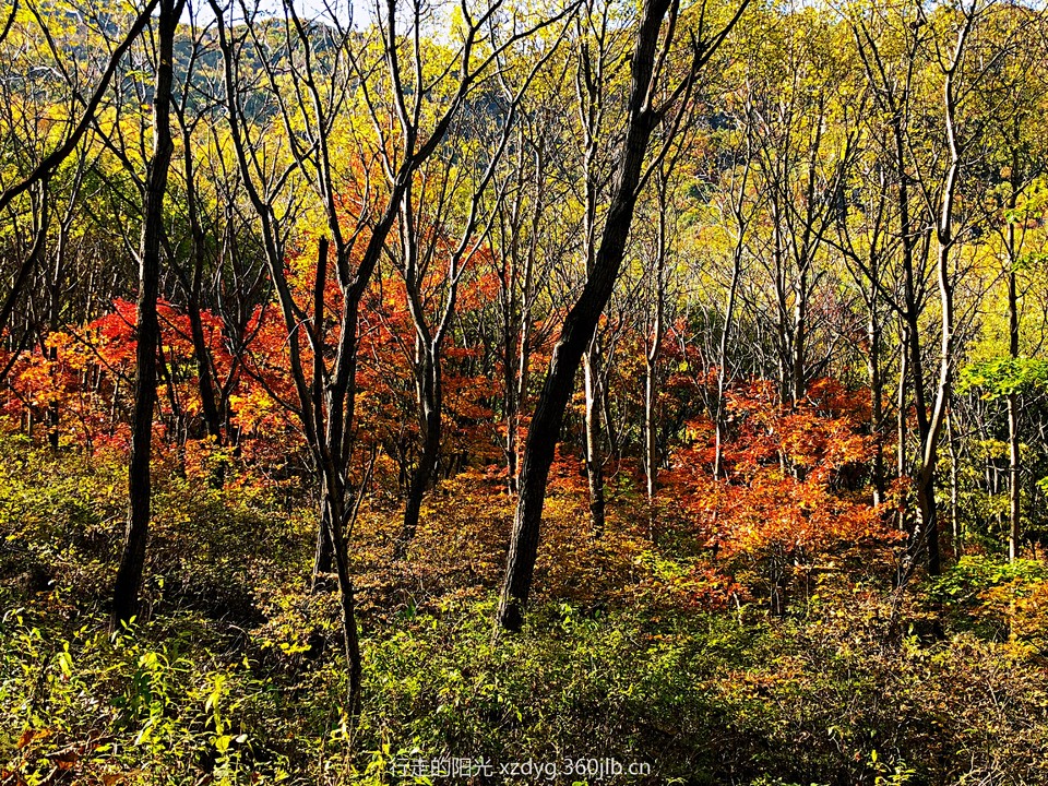 mmexport1538536878541