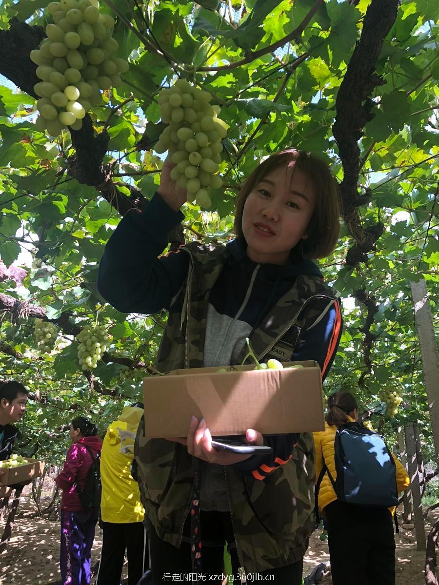 mmexport1537777727633