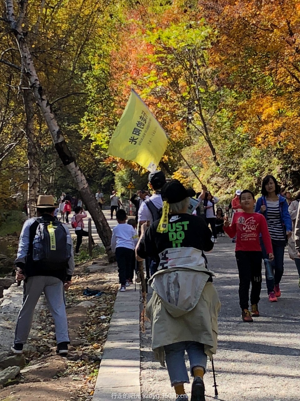 mmexport1538536960930