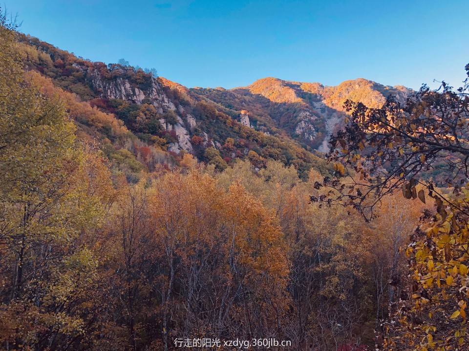 mmexport1538537153989