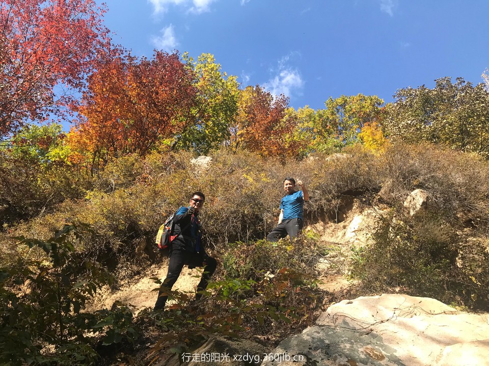 mmexport1538537733406