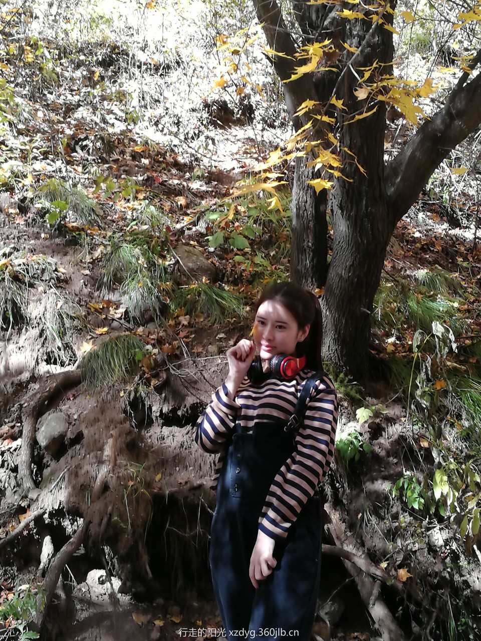 mmexport1538538450965