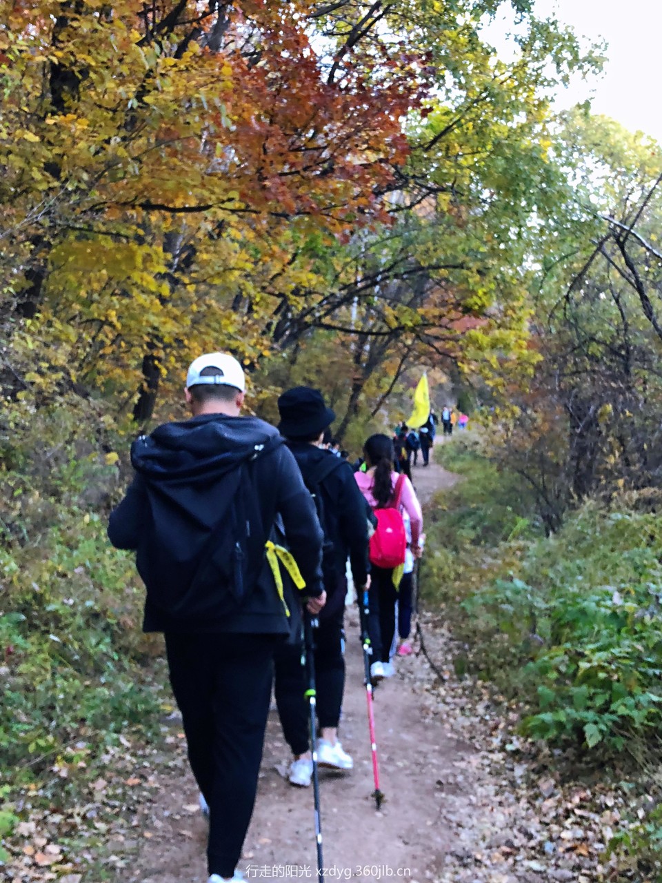 mmexport1538540229500