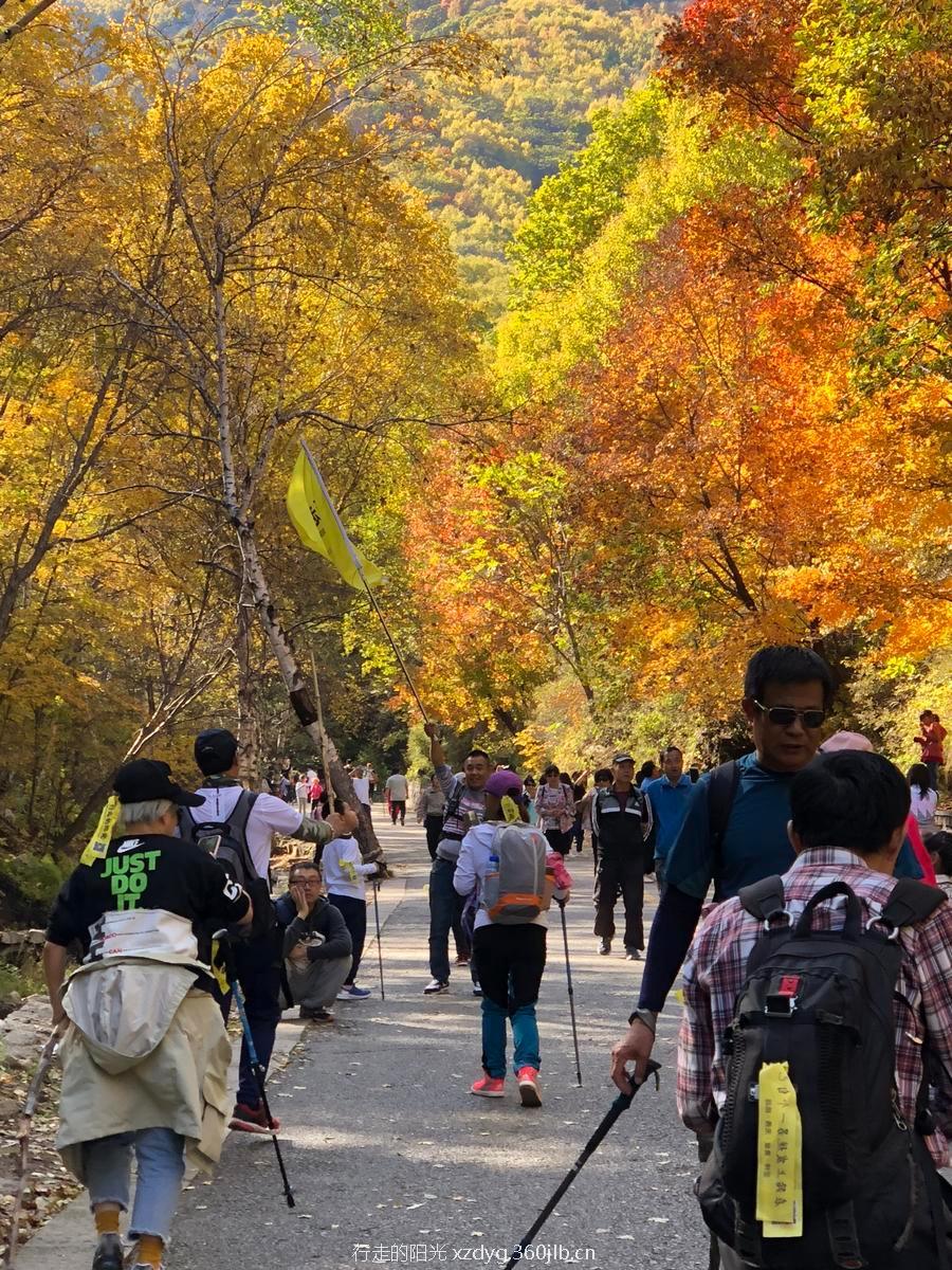 mmexport1538536972353