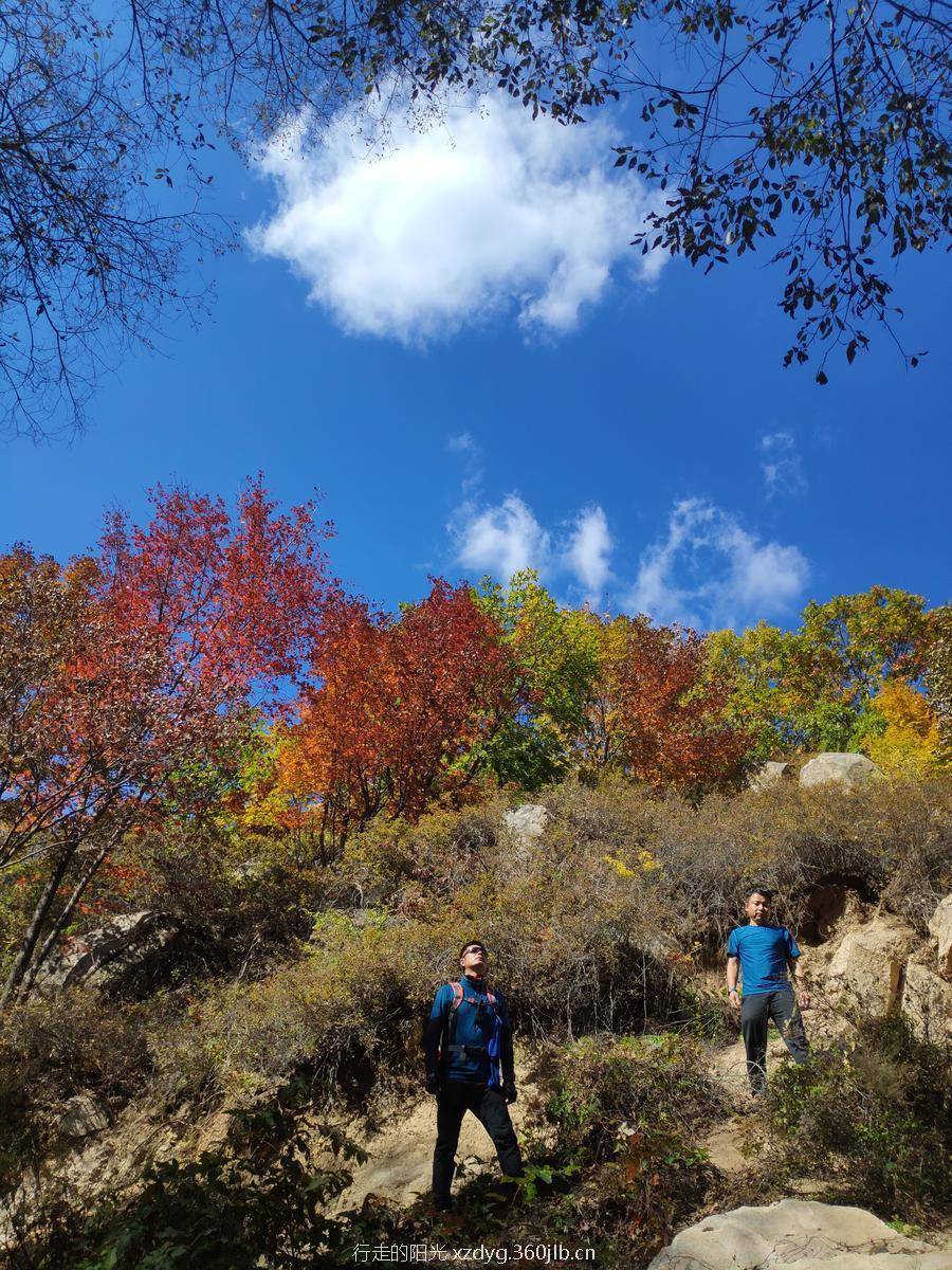 mmexport1538536819247