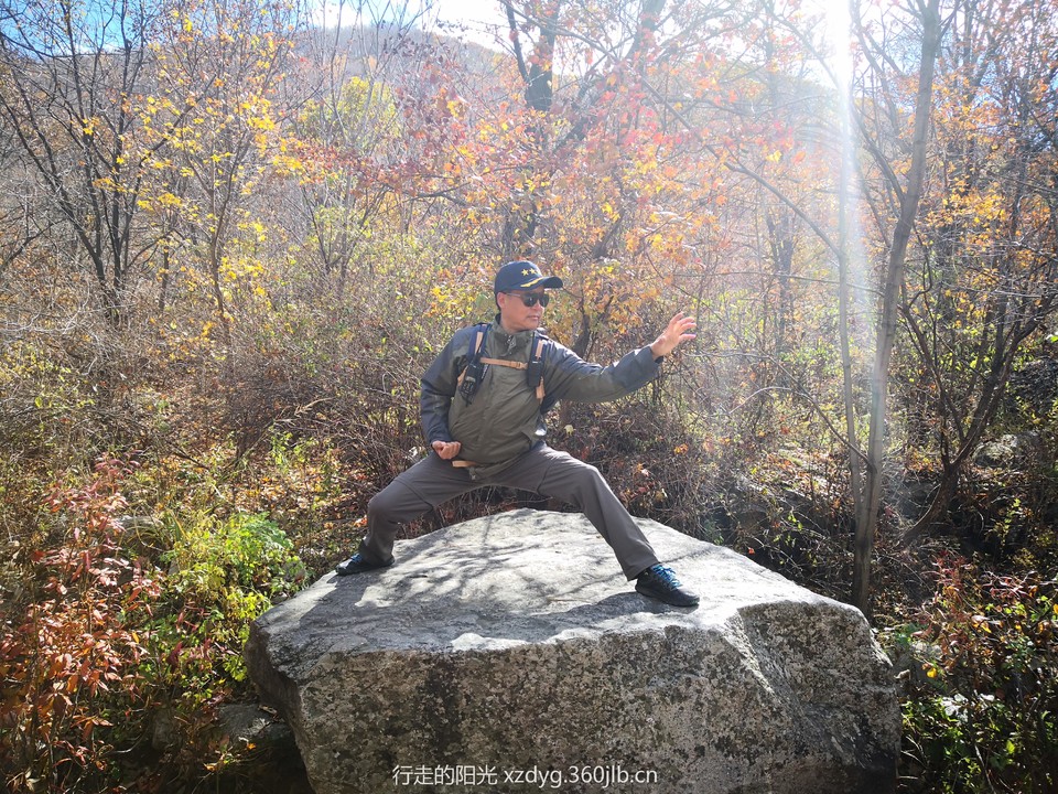 mmexport1539177281797