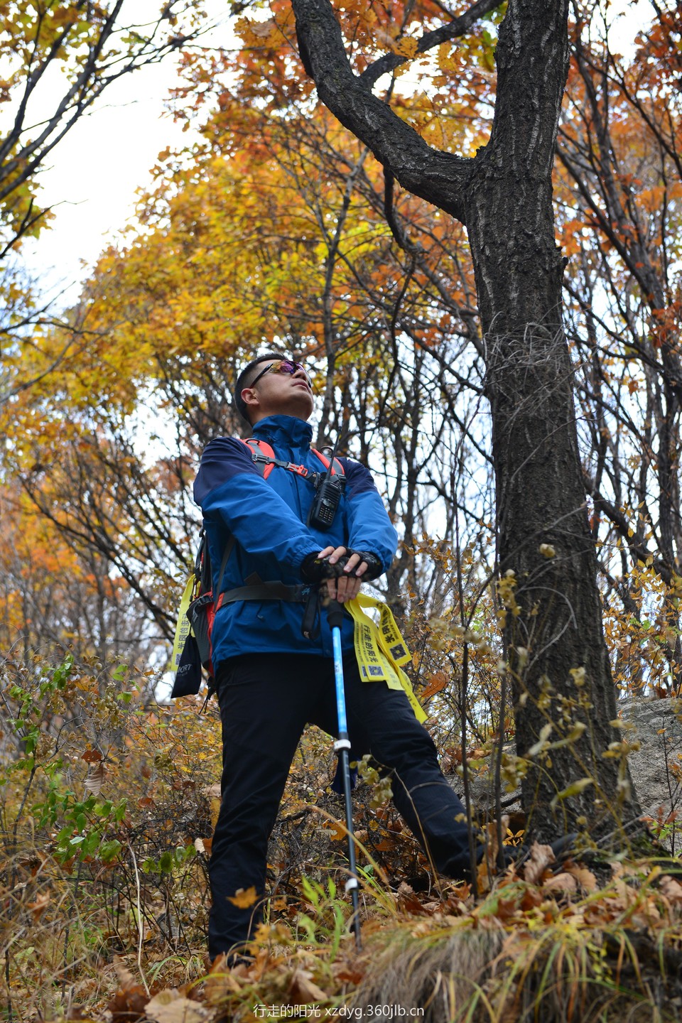 mmexport1539223154397