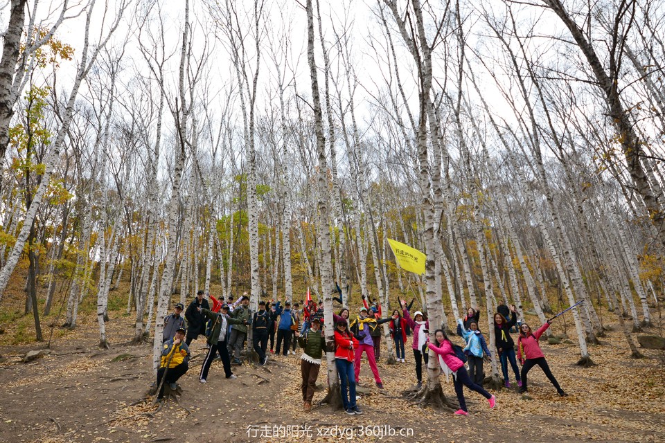 mmexport1539235059674