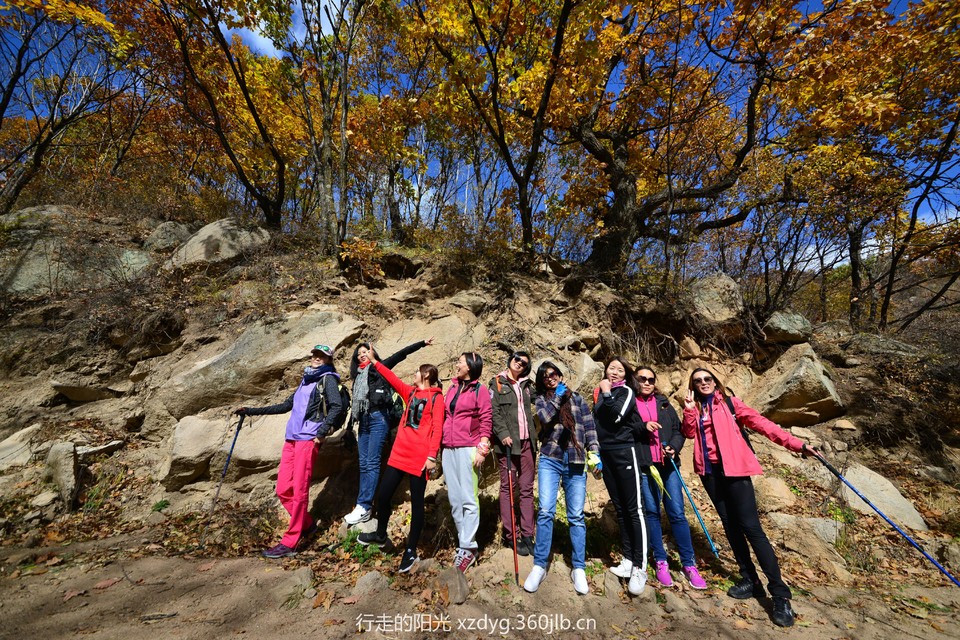 mmexport1539235066071