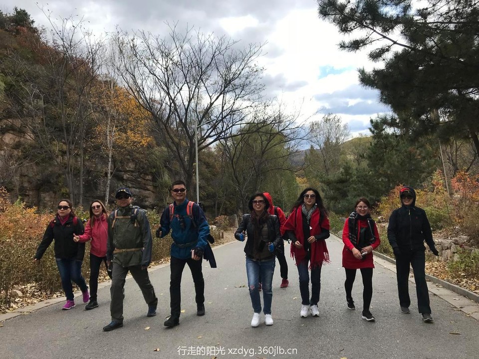 mmexport1539309445343