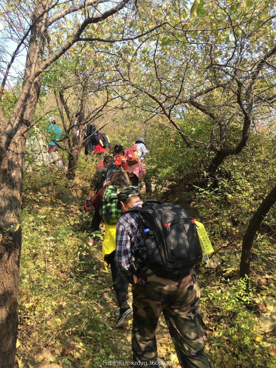 mmexport1539485367158