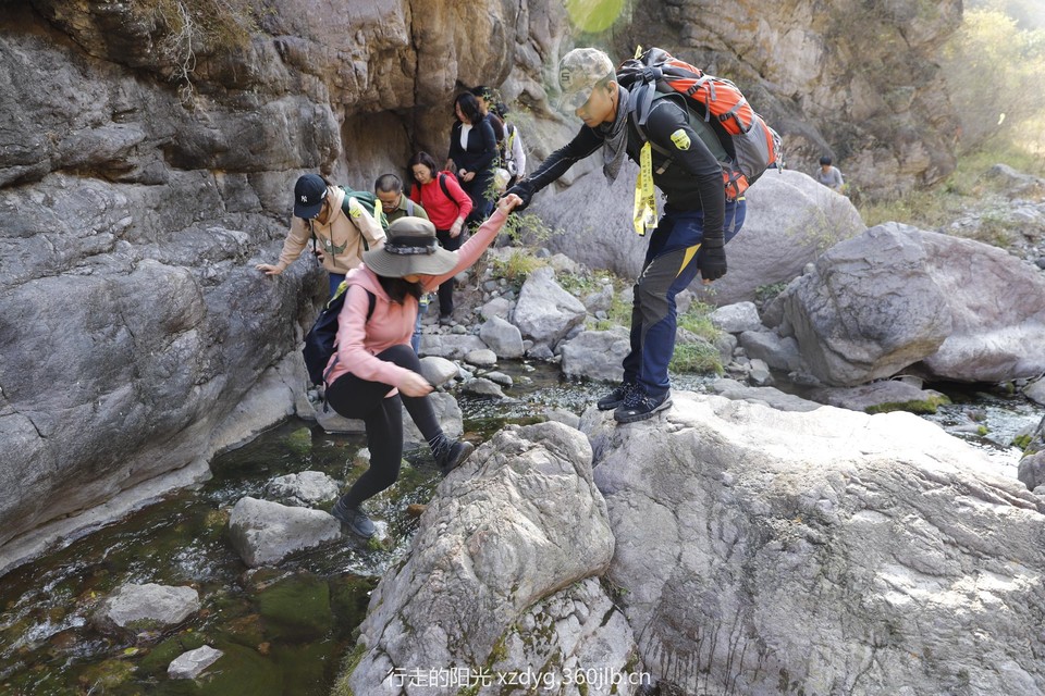 mmexport1539962463694