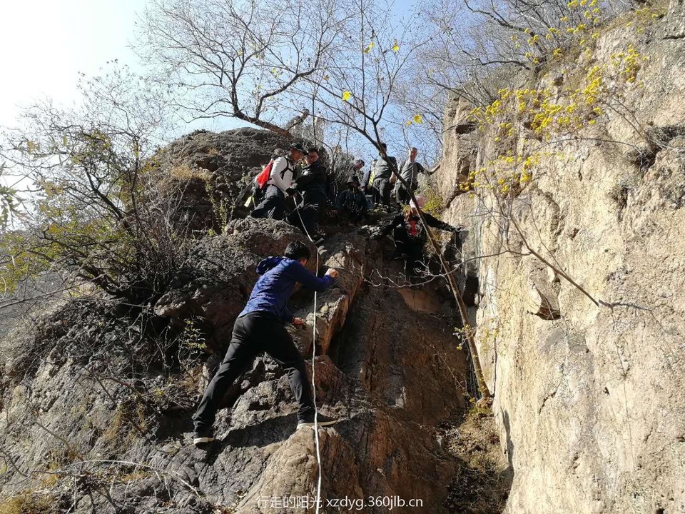 mmexport1539963178615