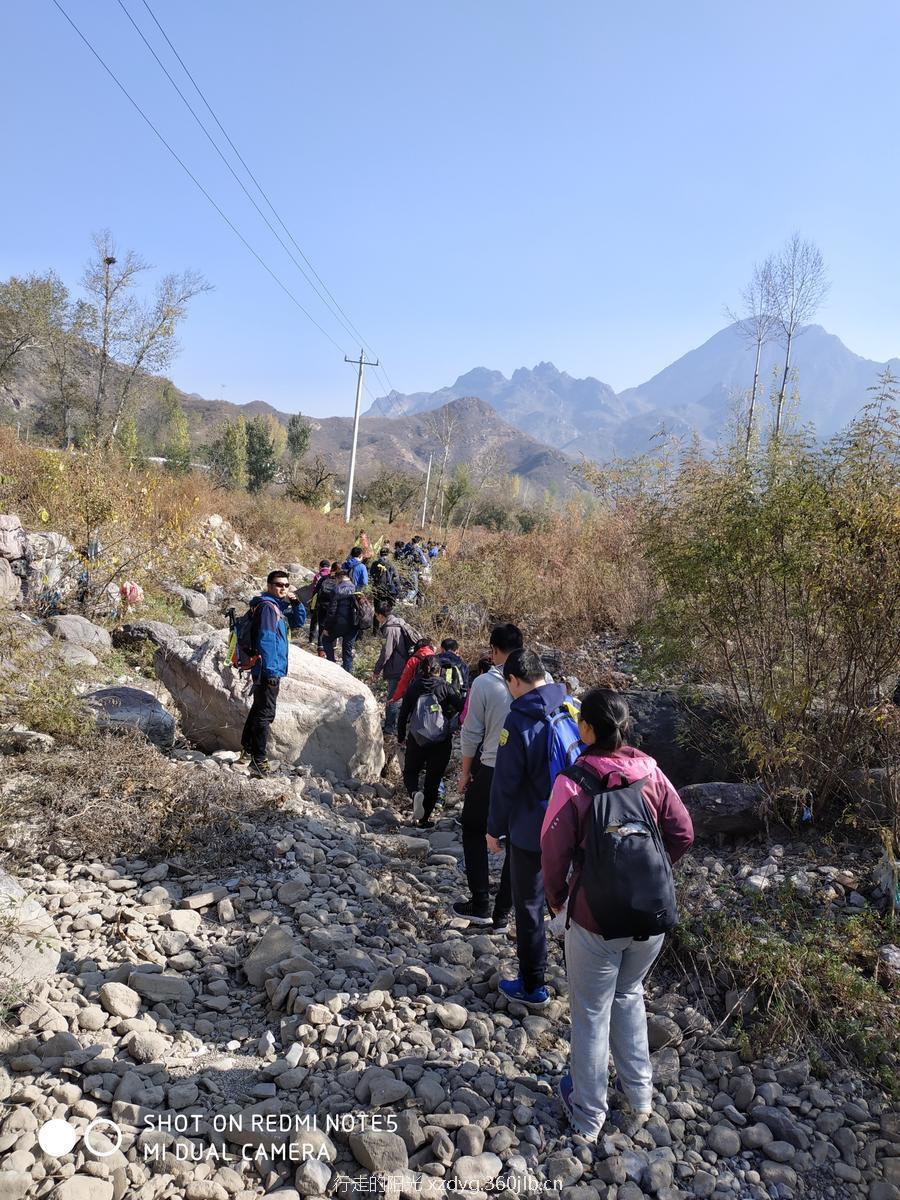 mmexport1540029745408