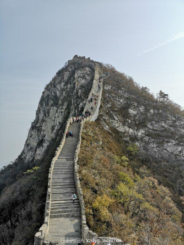 mmexport1540039322813