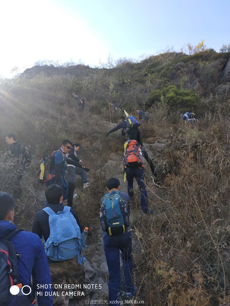 mmexport1540026300711