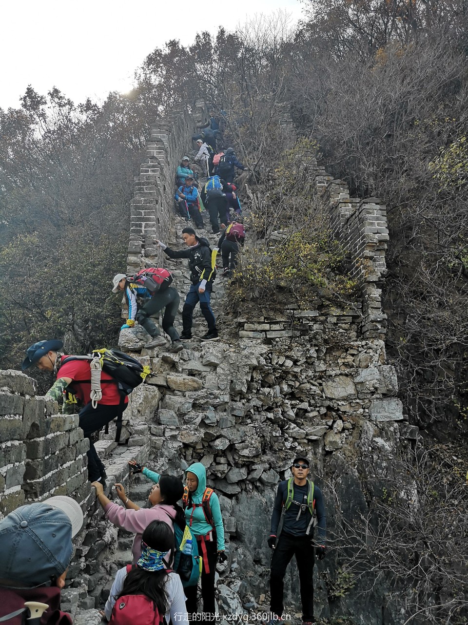 mmexport1540040693399