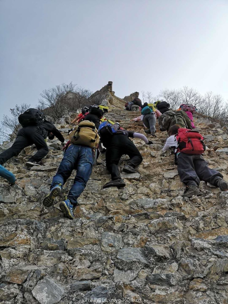 mmexport1540041164931