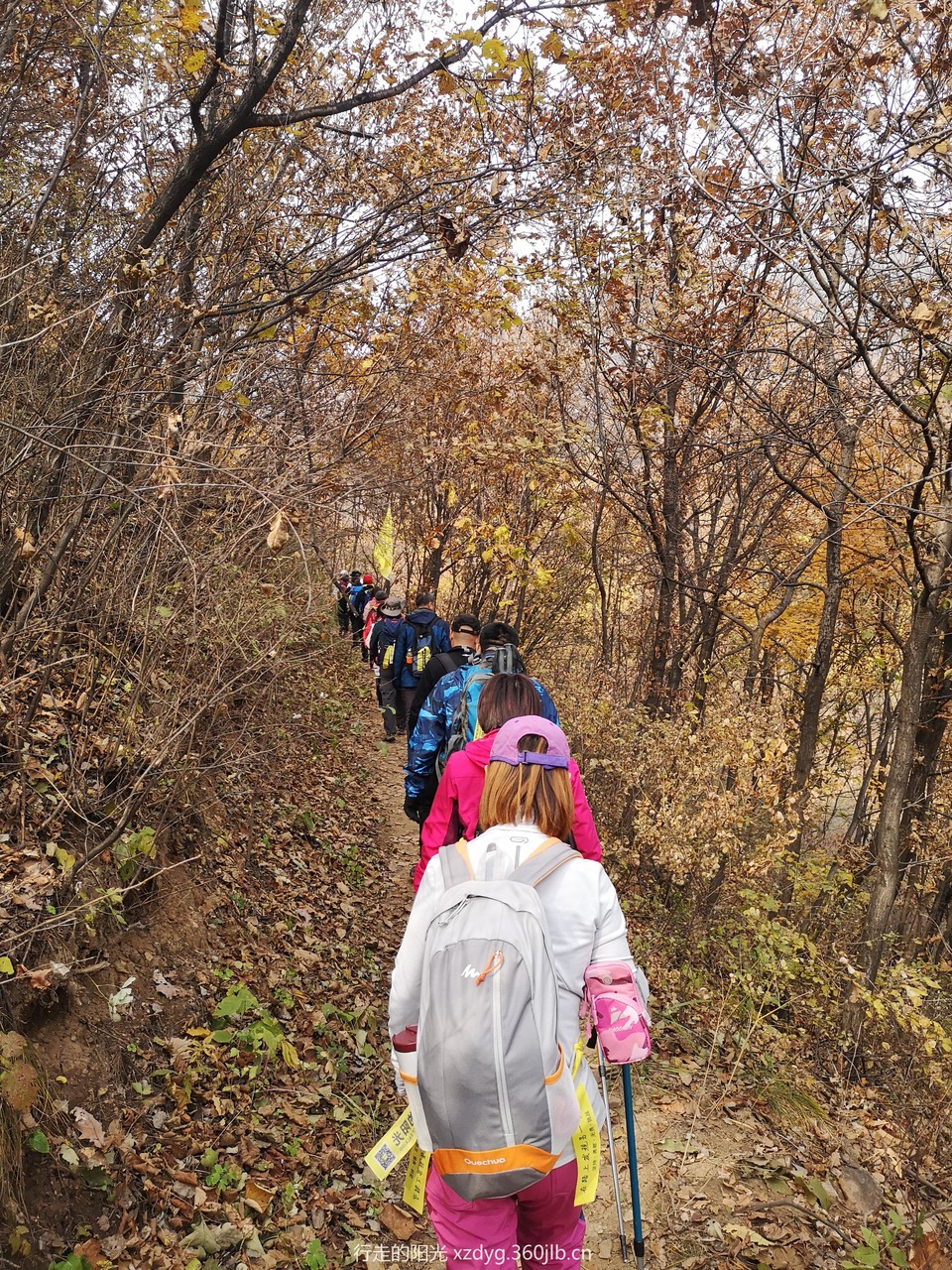 mmexport1540040711450