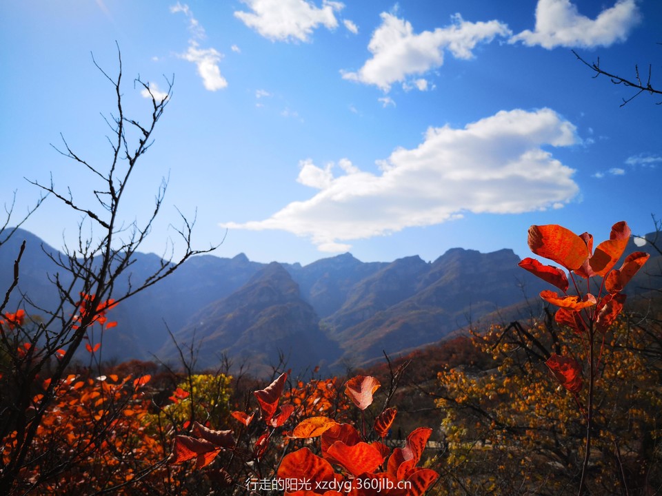 mmexport1540646444660