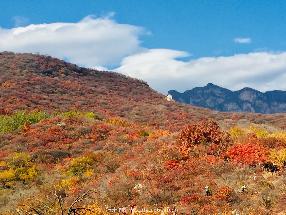 mmexport1540652324767