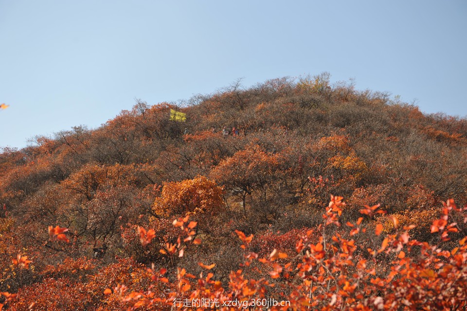 mmexport1540746620309