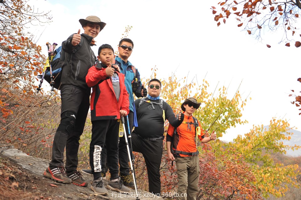 mmexport1540746659109