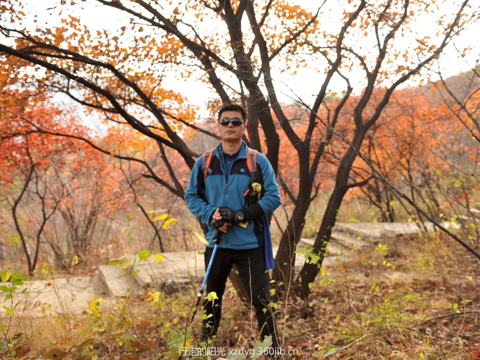 mmexport1540746870328