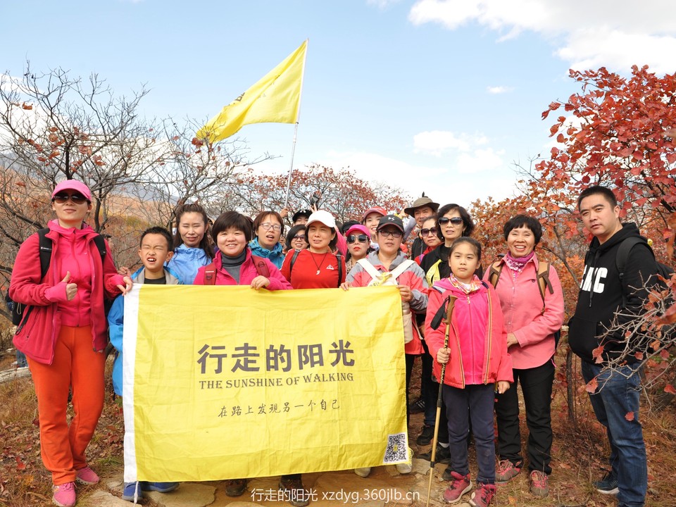 mmexport1540747062999