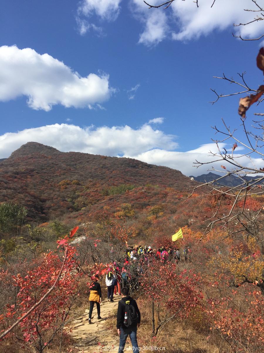 mmexport1540651921989