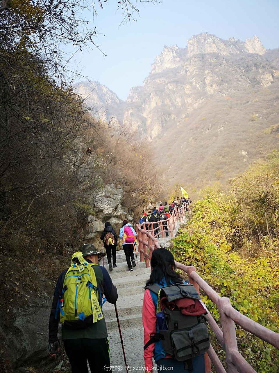 mmexport1541253552091