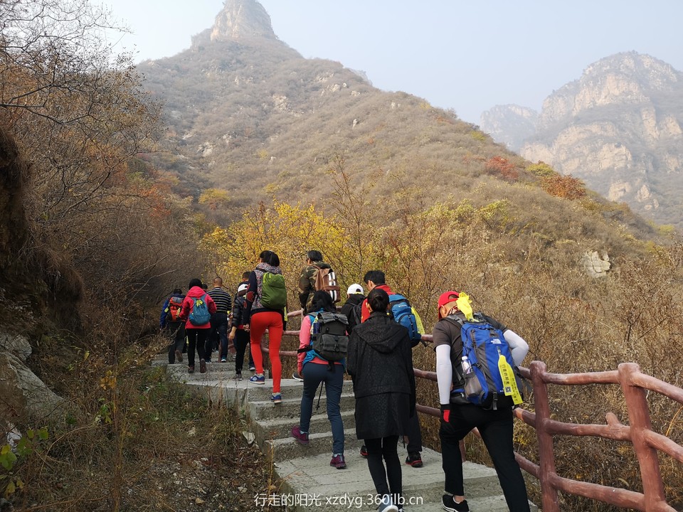 mmexport1541253567542