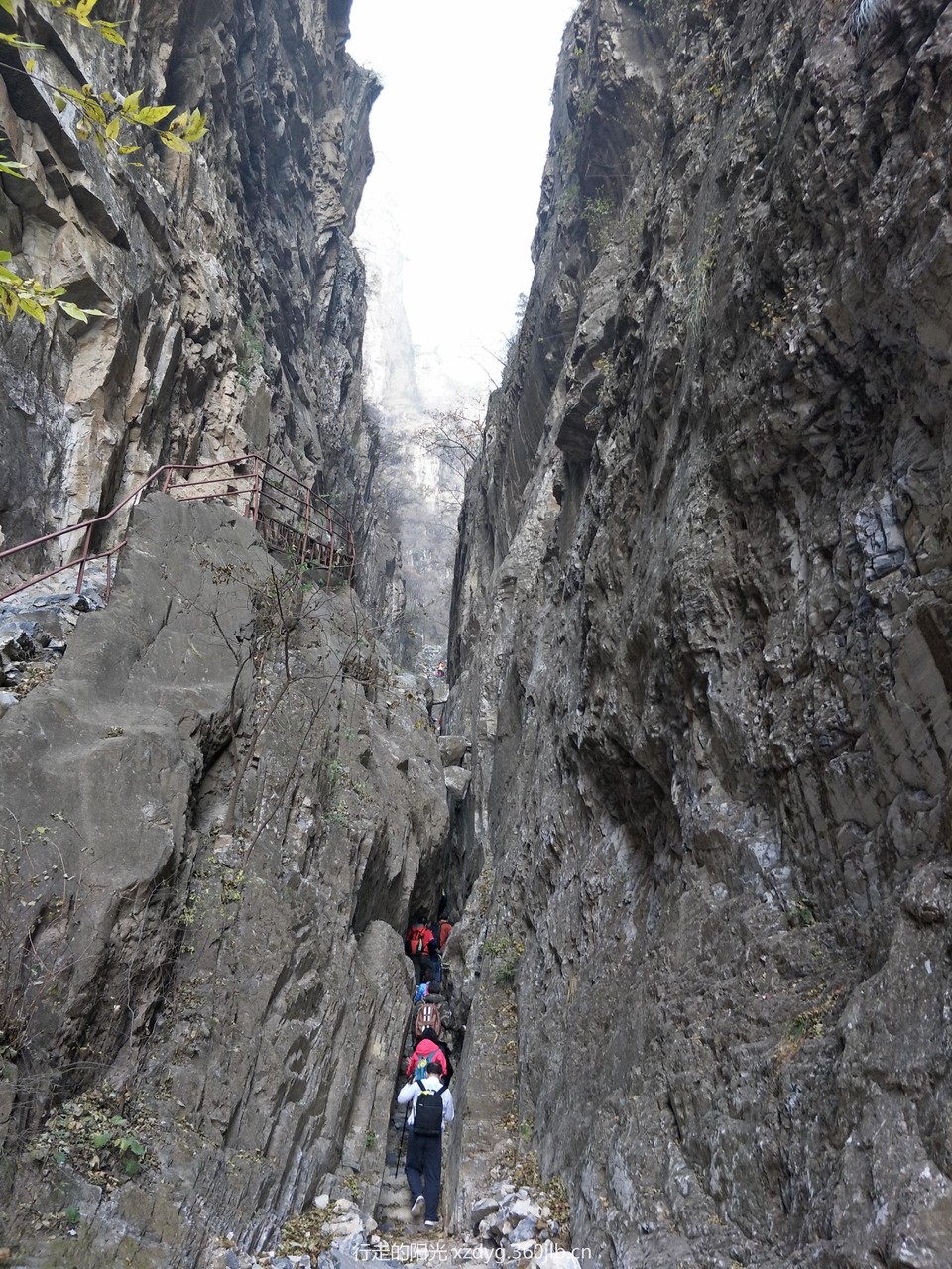 mmexport1541289036530