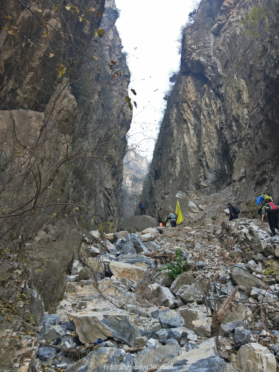 mmexport1541289120396