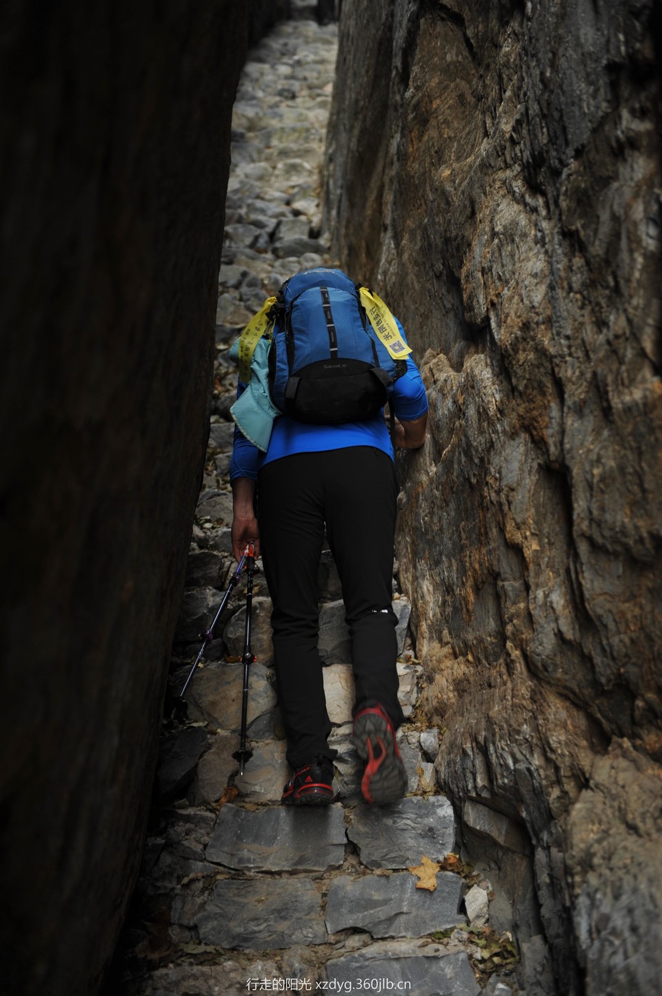 mmexport1541298321275