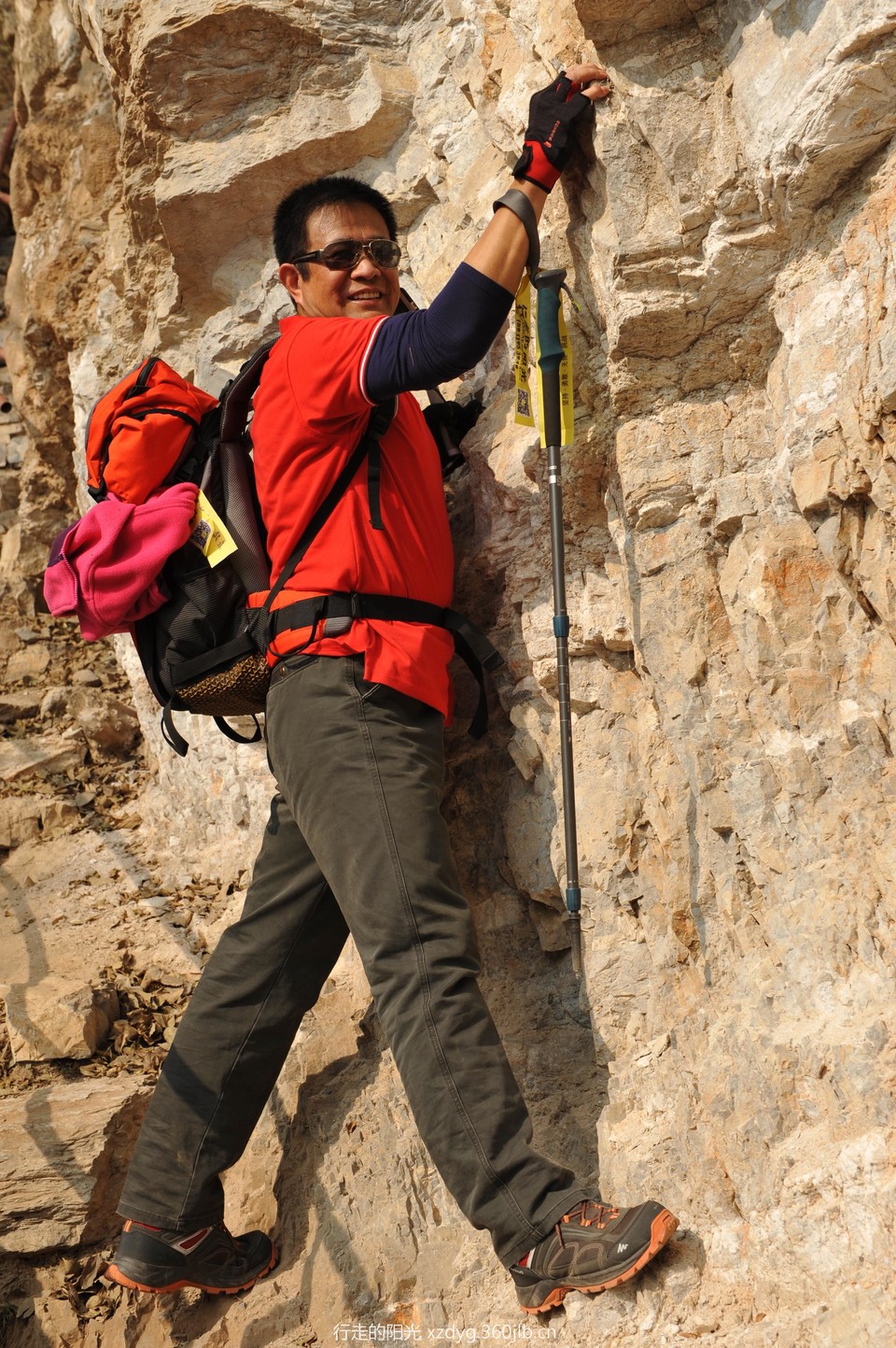 mmexport1541298501438