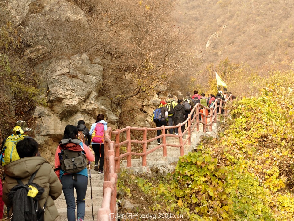 mmexport1541332889791