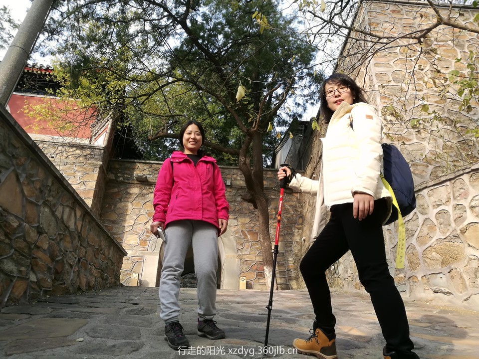 mmexport1541897225211