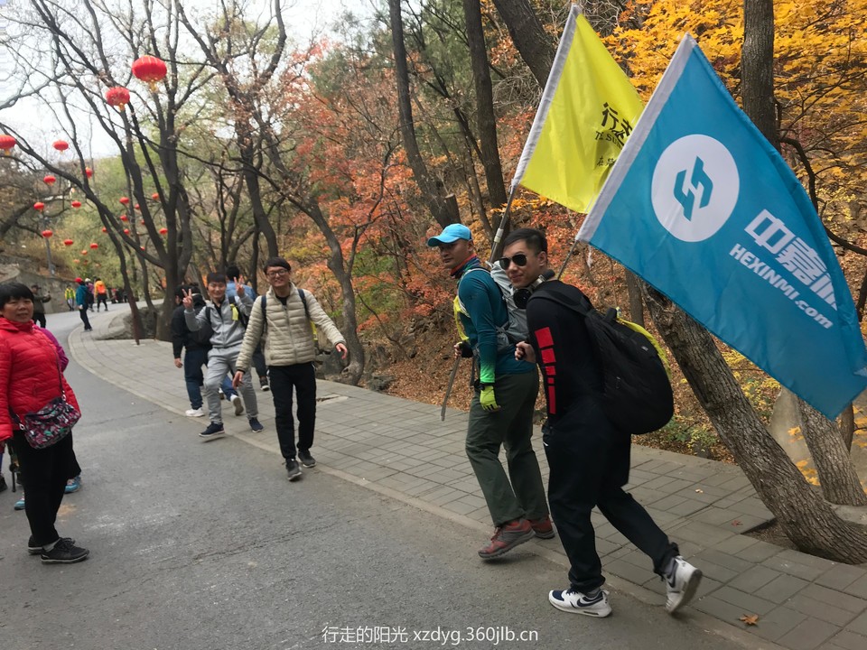 mmexport1541943345519