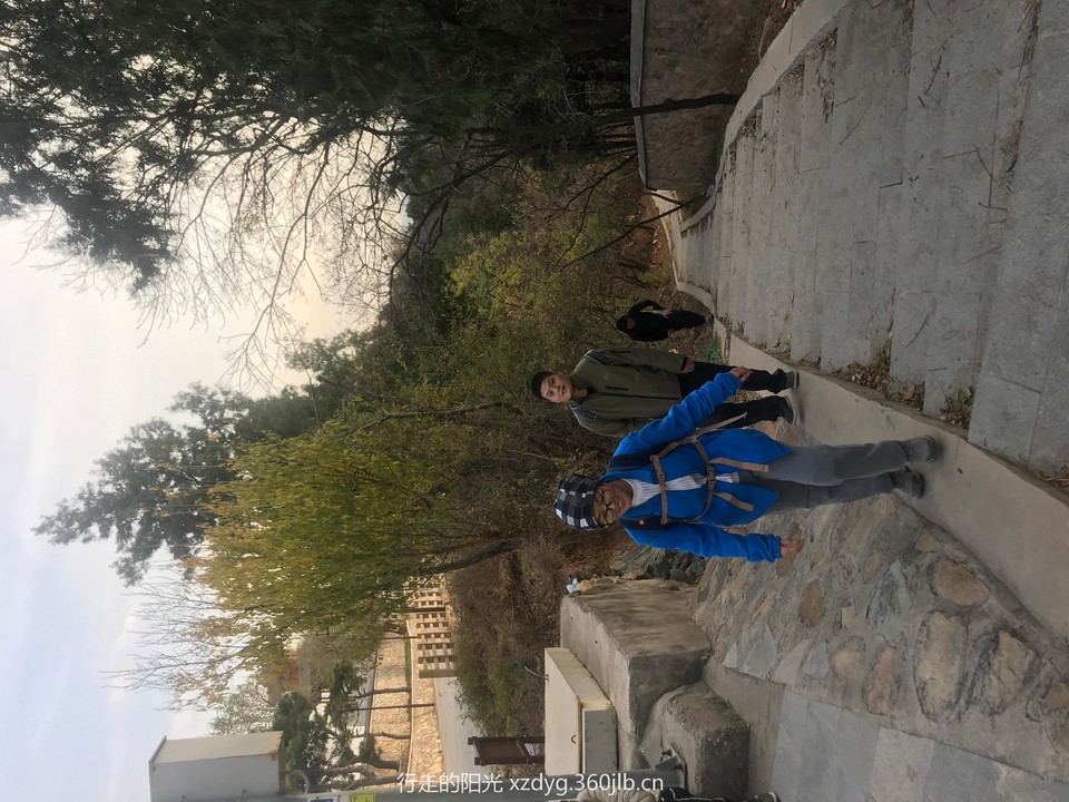 mmexport1541943368970